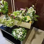 Sabra Hotel Senigallia