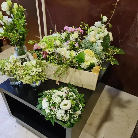 Sabra 호텔 세니갈리아