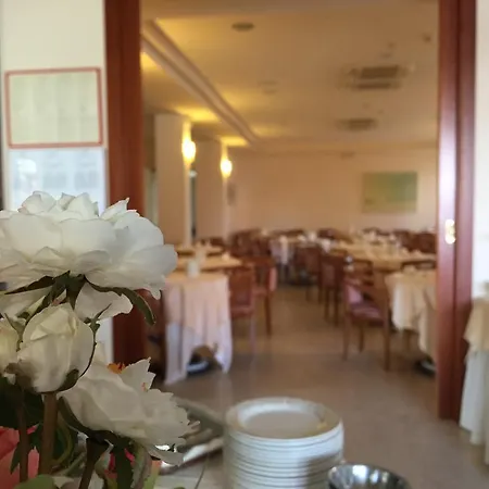 Sabra Senigallia